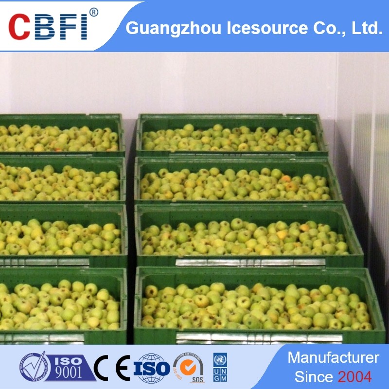 news-Know about Medicine Cold Storage, Constant Temperature Cold Room, Cold Room and Freezer-CBFI-im