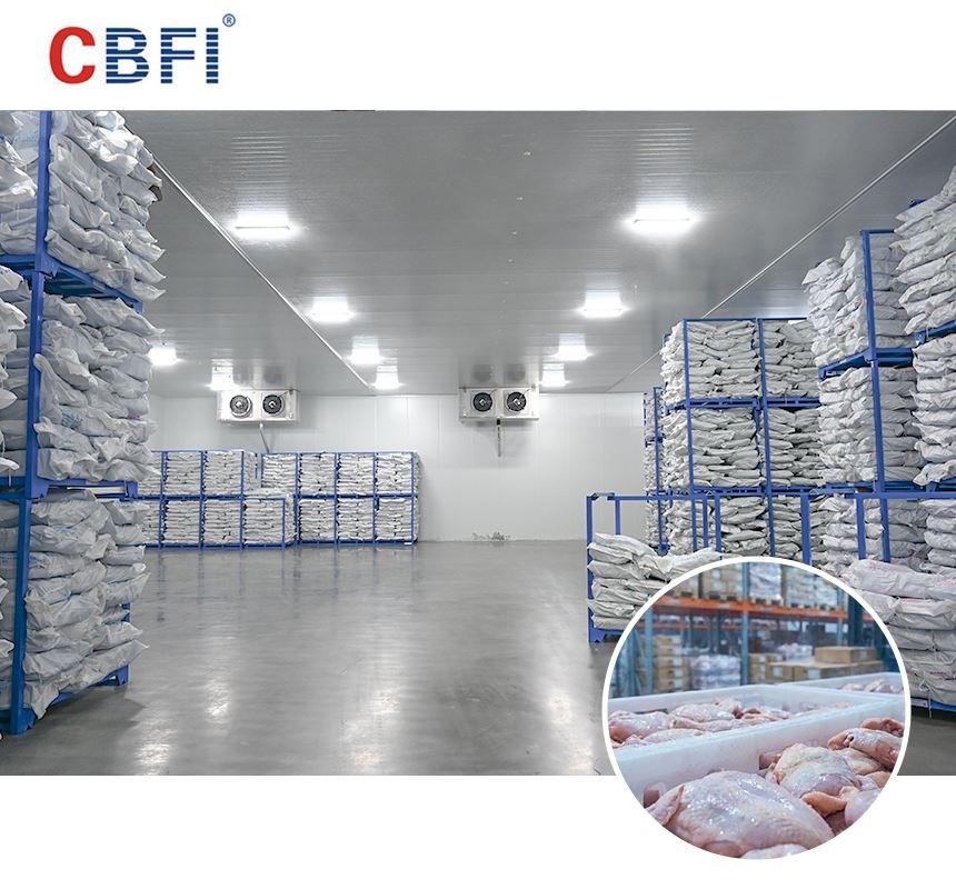 동남아시아를 위한 CBFI 대형 해산물 냉장 보관 솔루션: 열대 기후에서 탁월한 보존을 위한 길