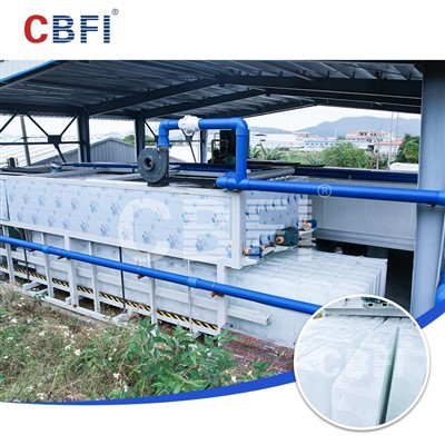 CBFI 15톤 생선 직접 냉각 제빙기